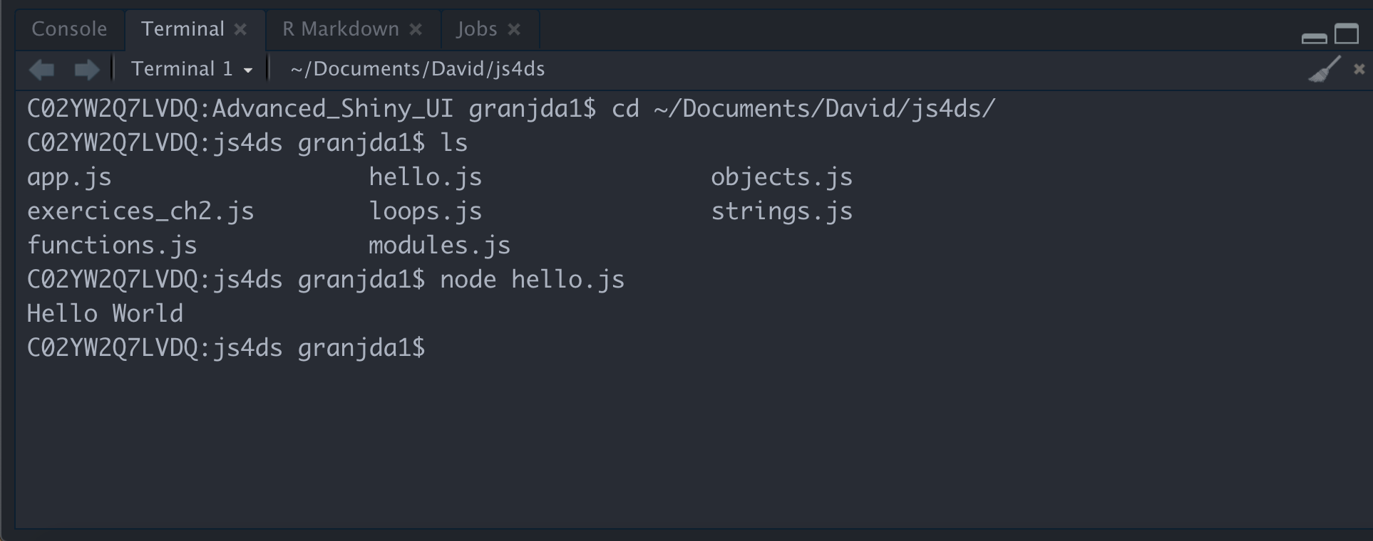 Run JS within an RStudio shell terminal.